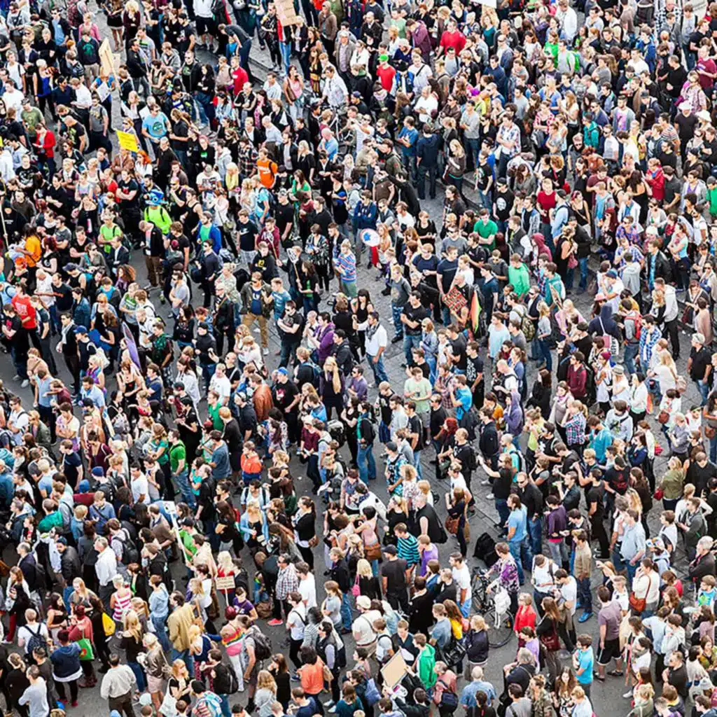 Flocking together: the physics of sheep herding and pedestrian flows