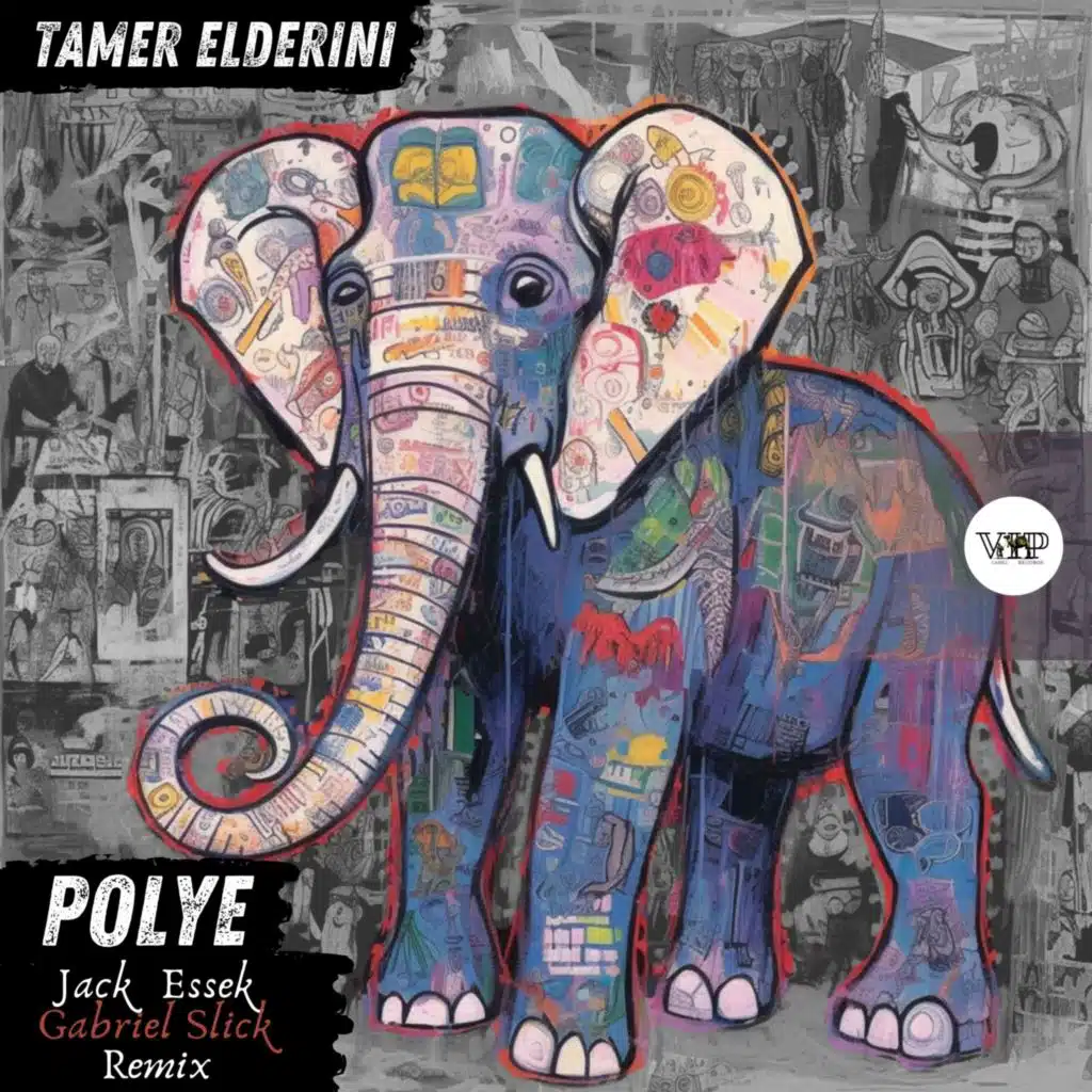 Tamer ElDerini & CamelVIP