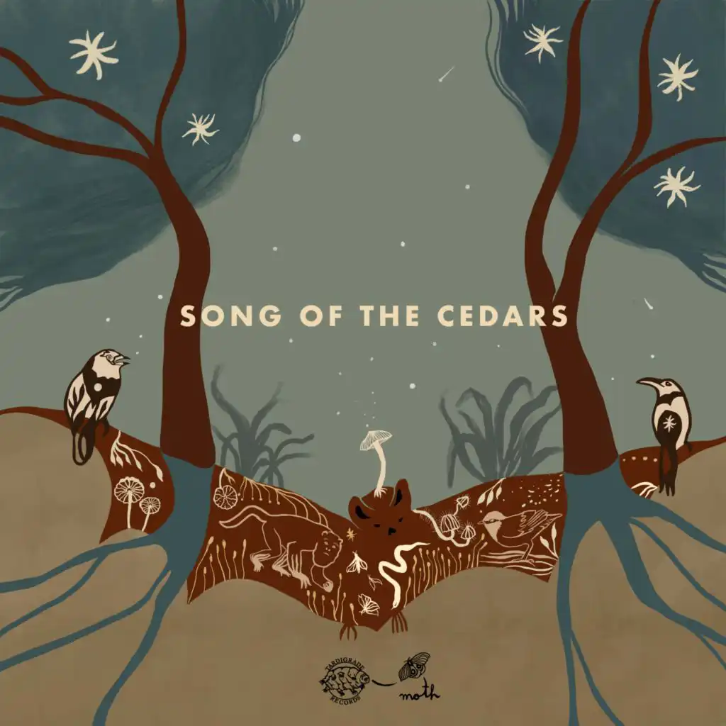 Song of the Cedars