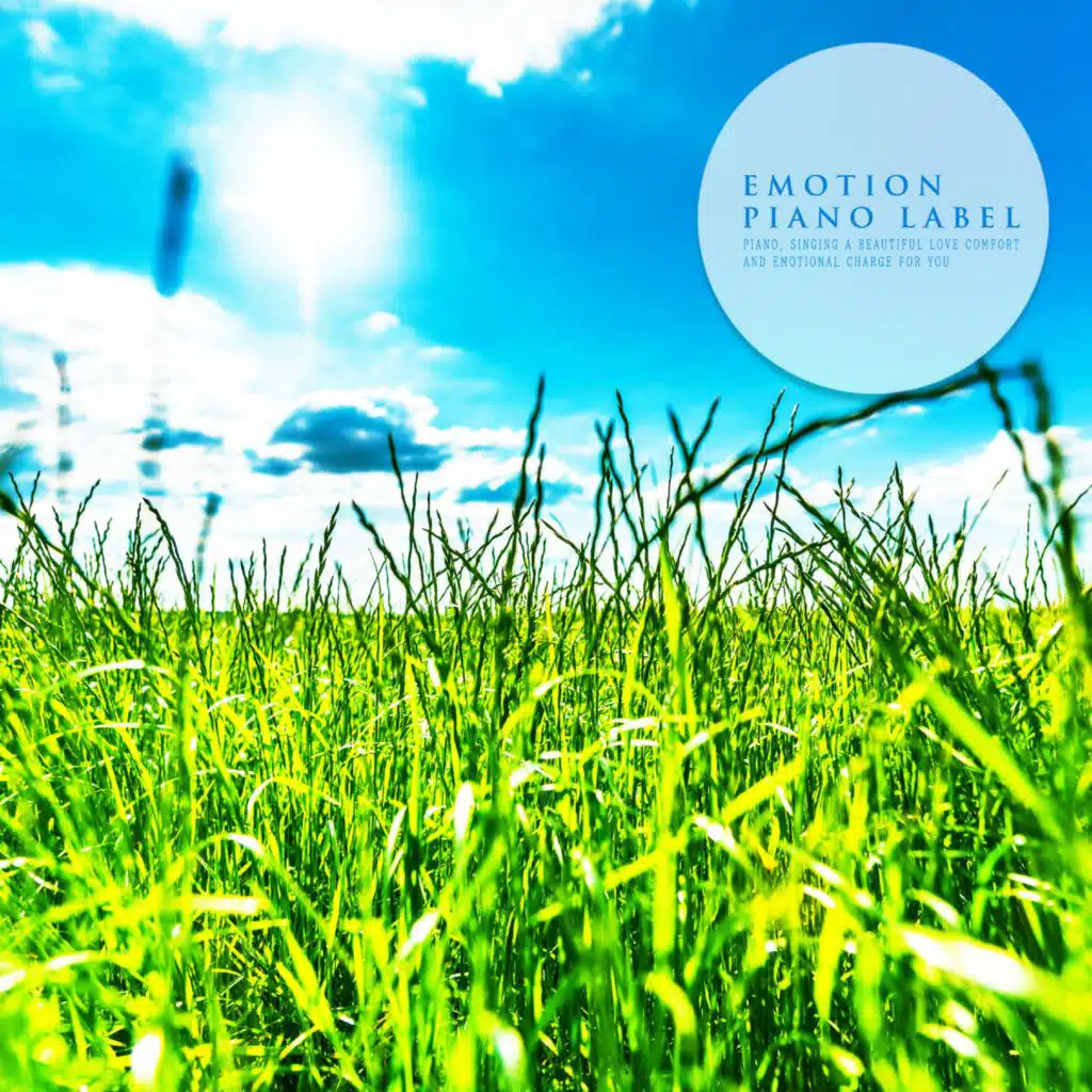 Meditation Piano Making Light Heart