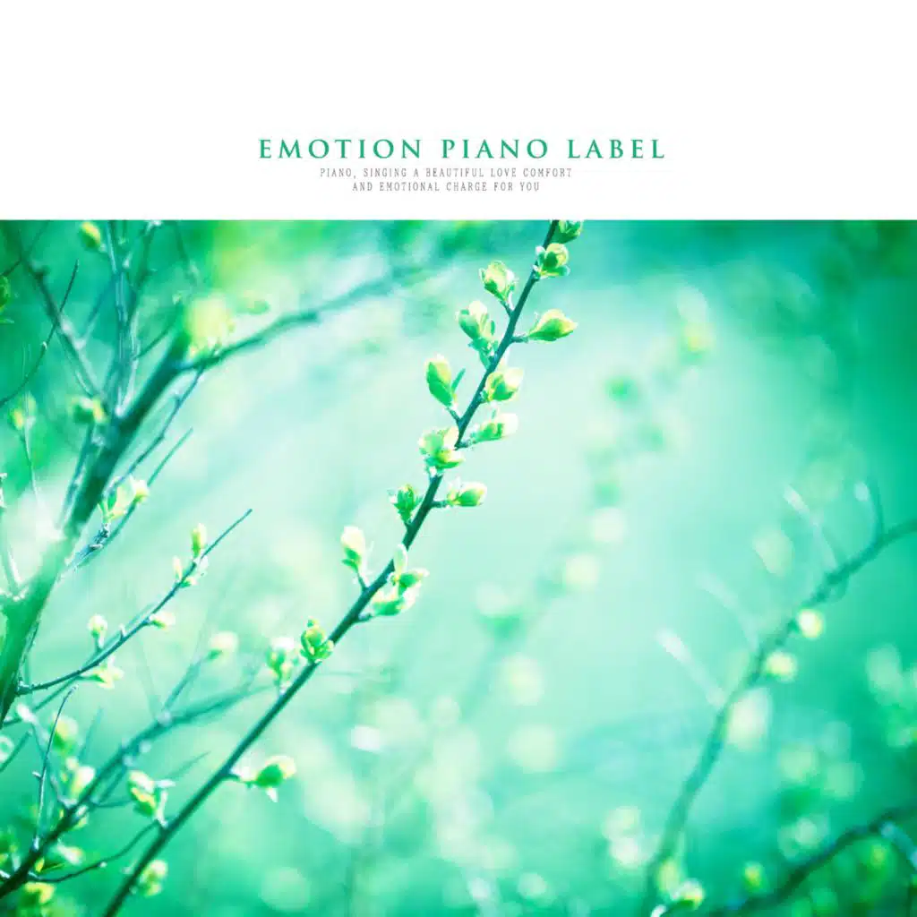 The Harmony Emotional Piano And The Sound Of Nature (Nature Ver.)