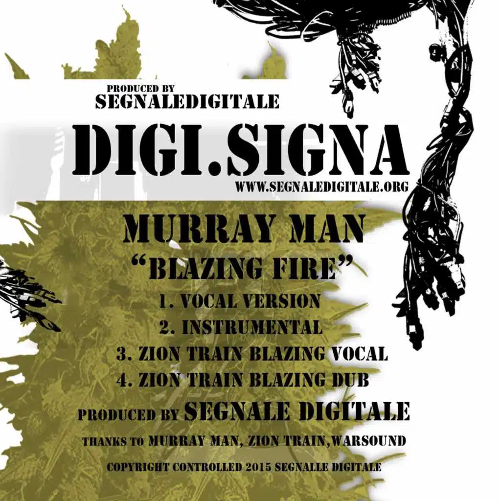 Blazing Fire (Zion Train Blazing Vocal)