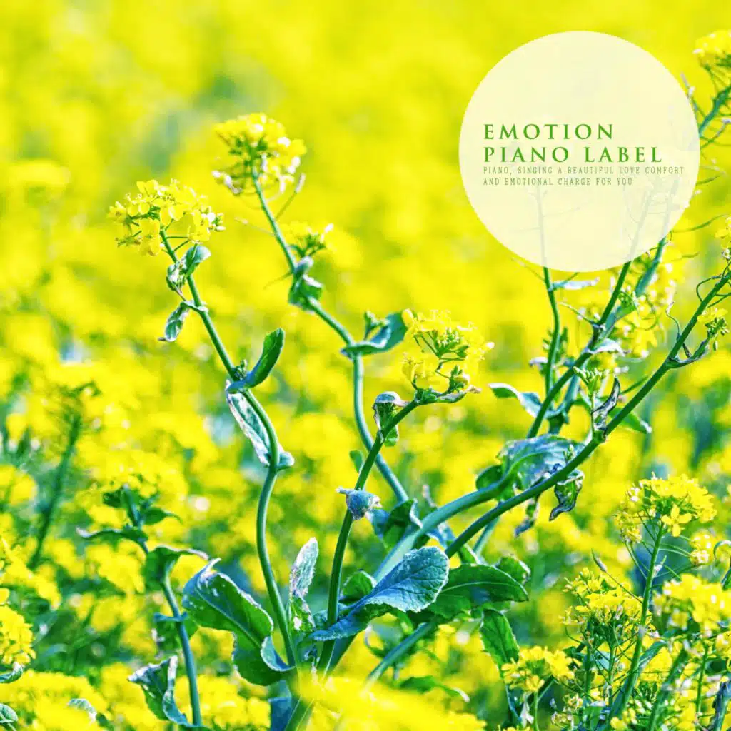 A Lazy Spring Wind (Nature Ver.)