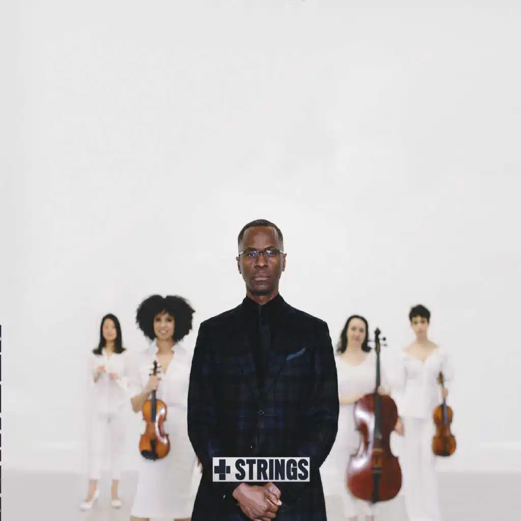 Stars Fell on Alabama