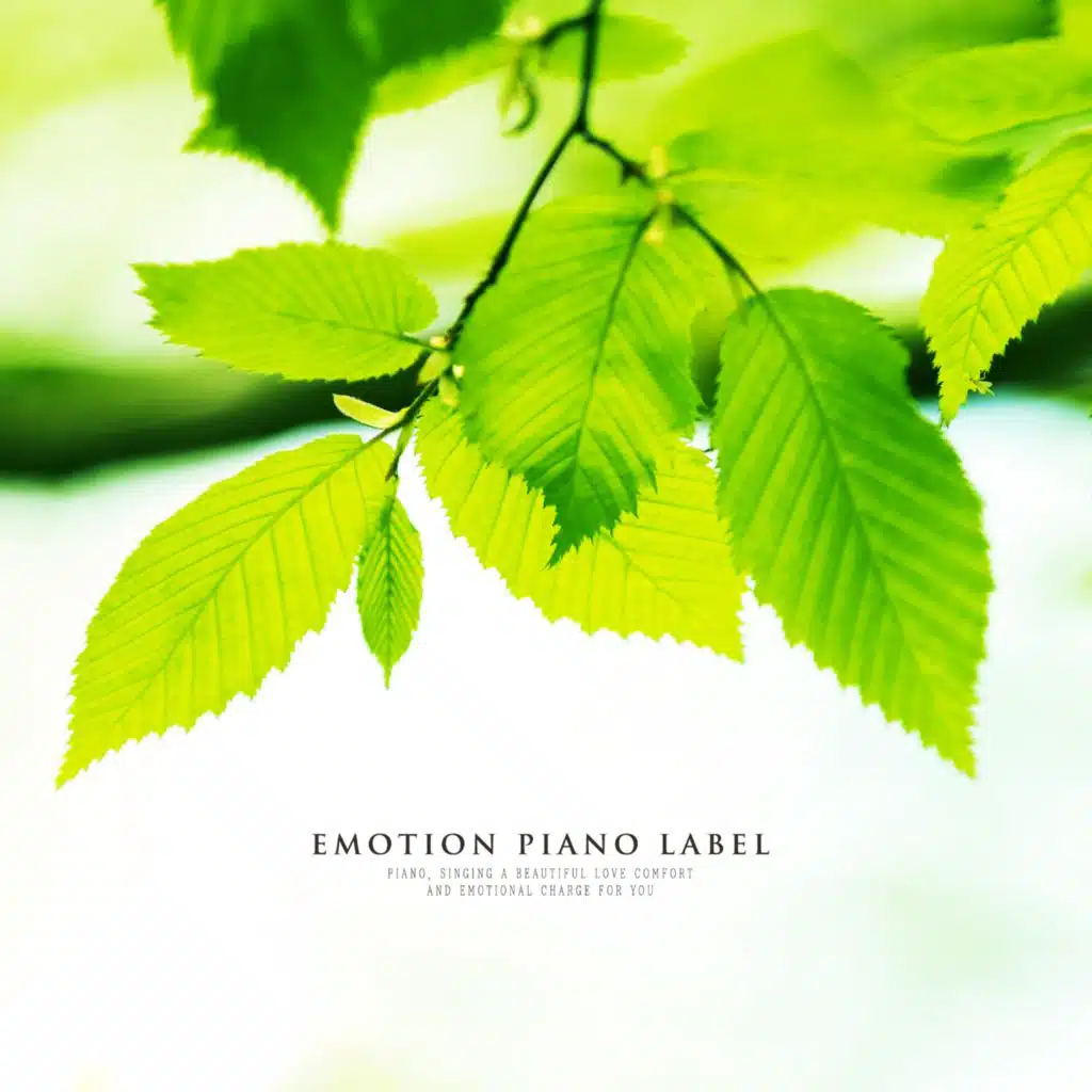 Healing Piano Collection (Nature Ver.)