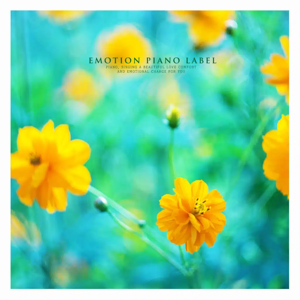 Emotion Piano Collection