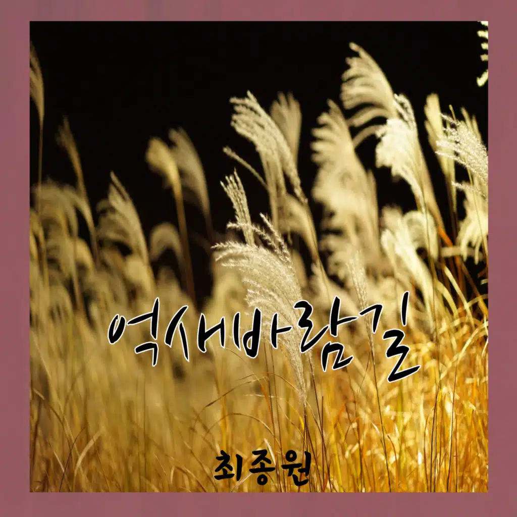 Choi jong won