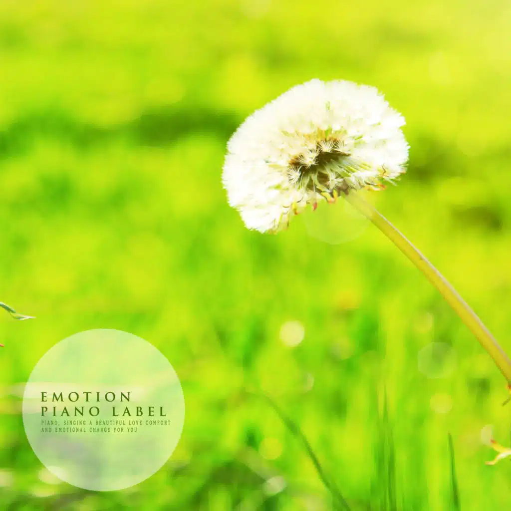 Emotional Piano Collection