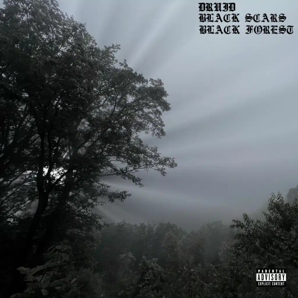 Supra (feat. Black Scars)