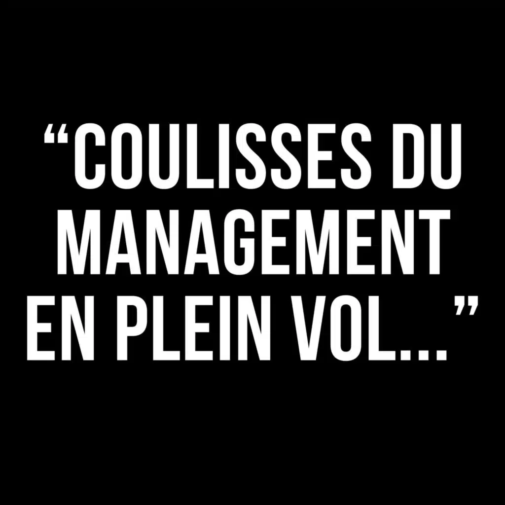 Management en milieu aérien - Julie Balcerzak - 433