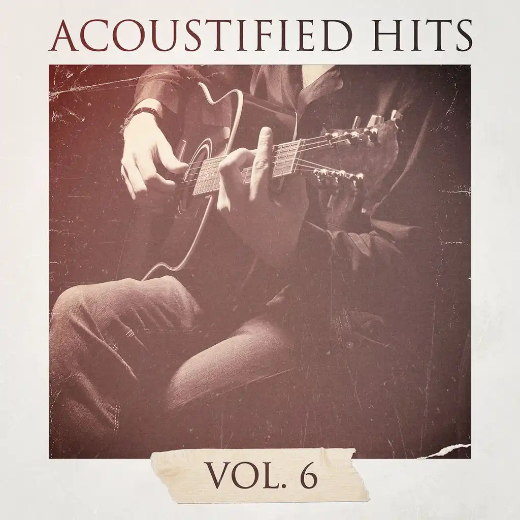 Acoustified Hits, Vol. 6