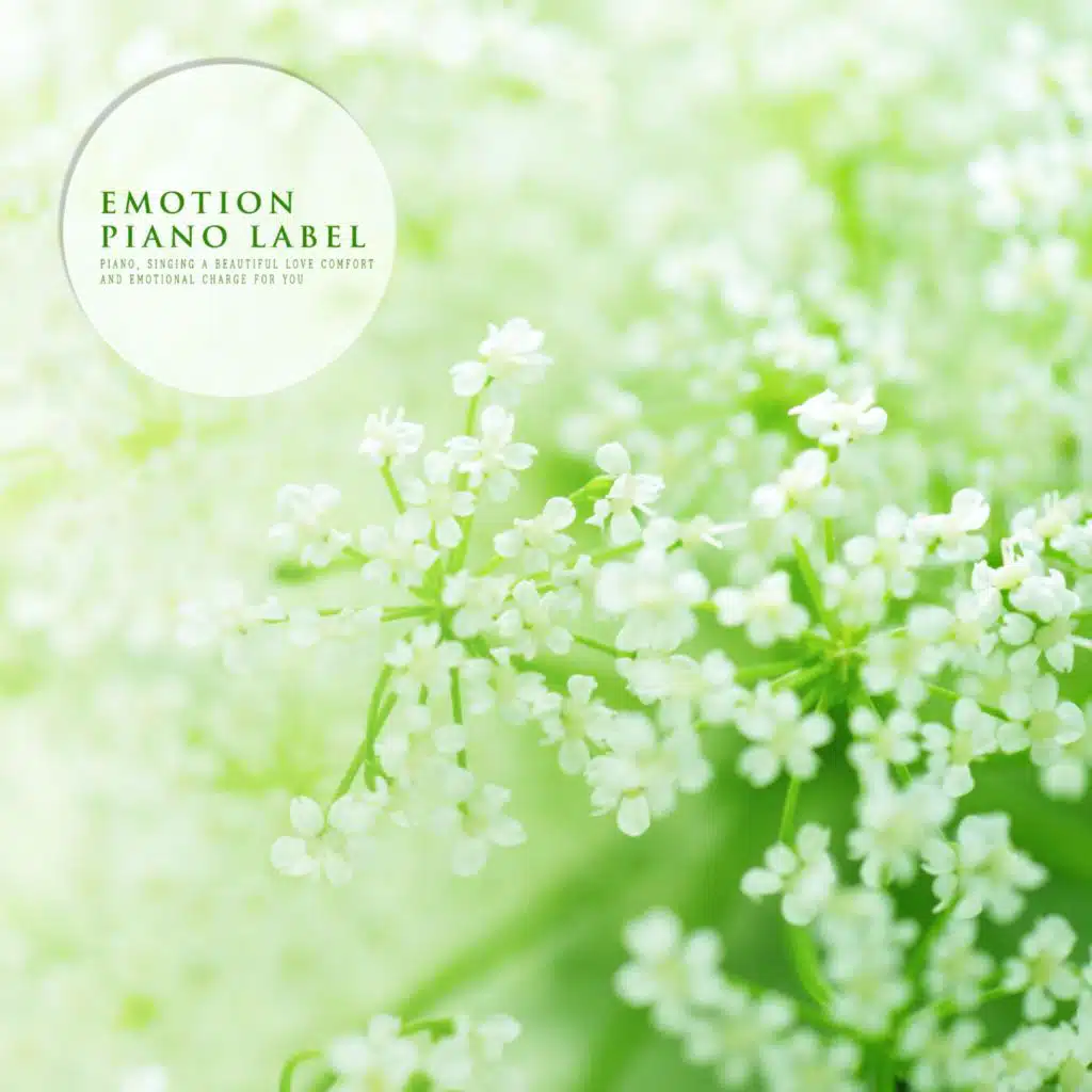 A Warm Piano For A Comfortable Dream