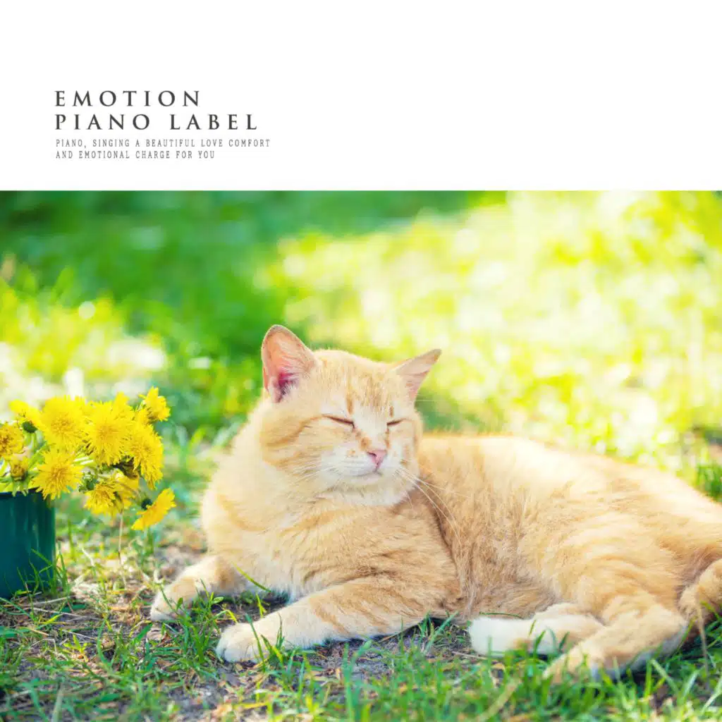 Healing Piano For Relaxation