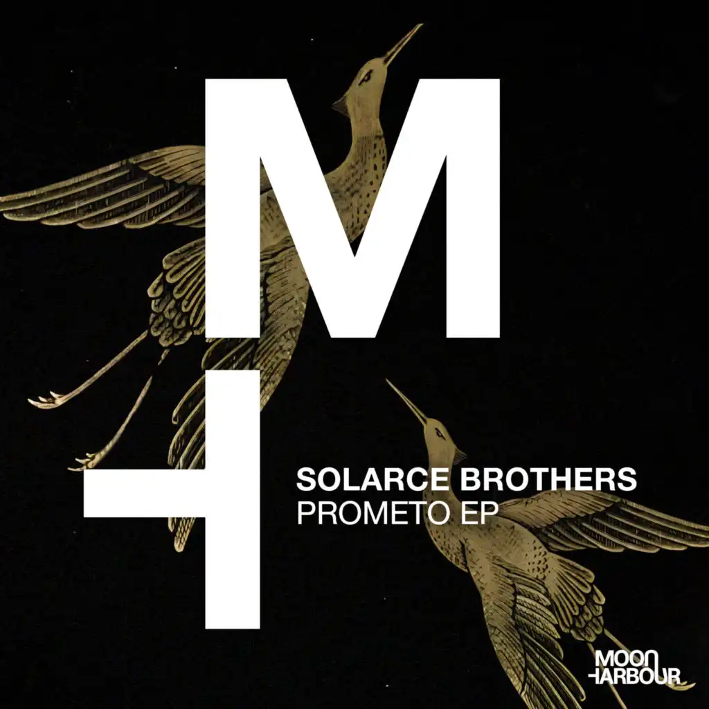 Solarce Brothers