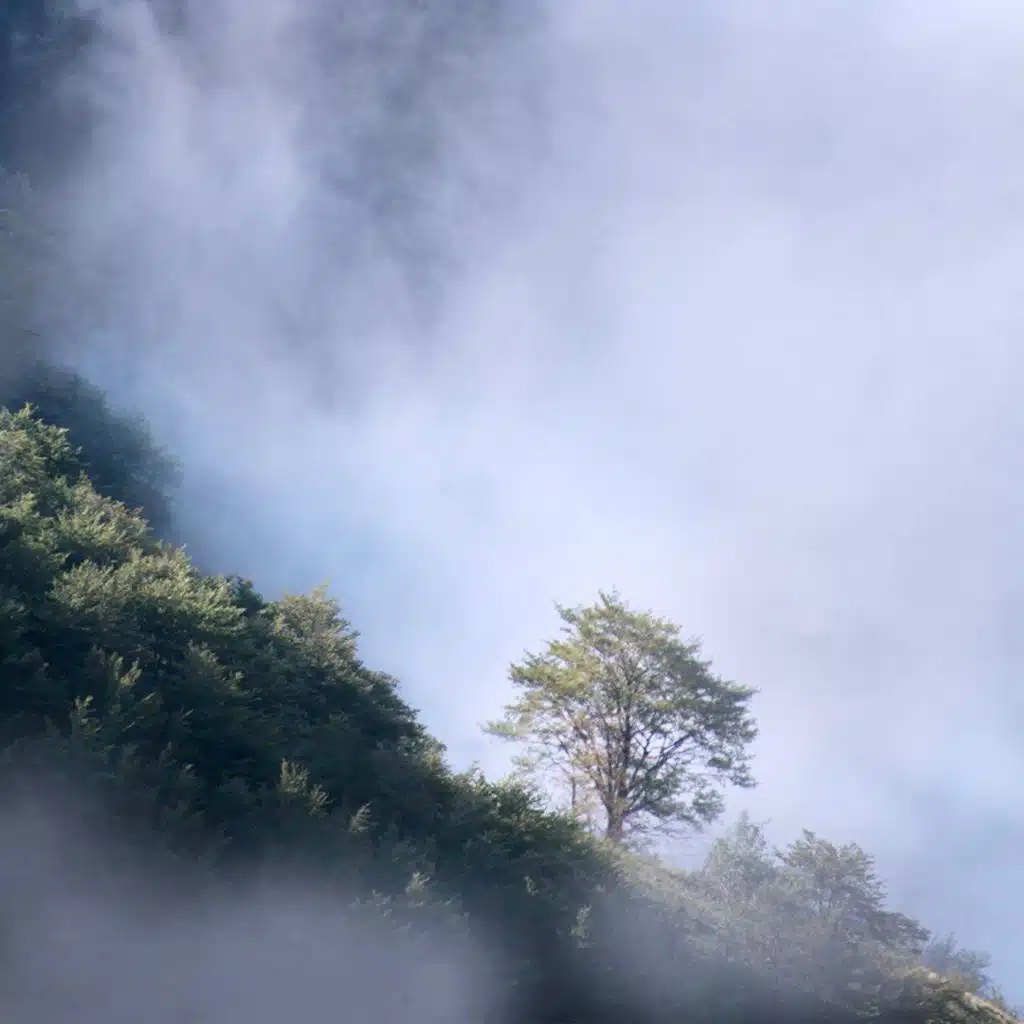 Time Flies (Slowed + Reverb)