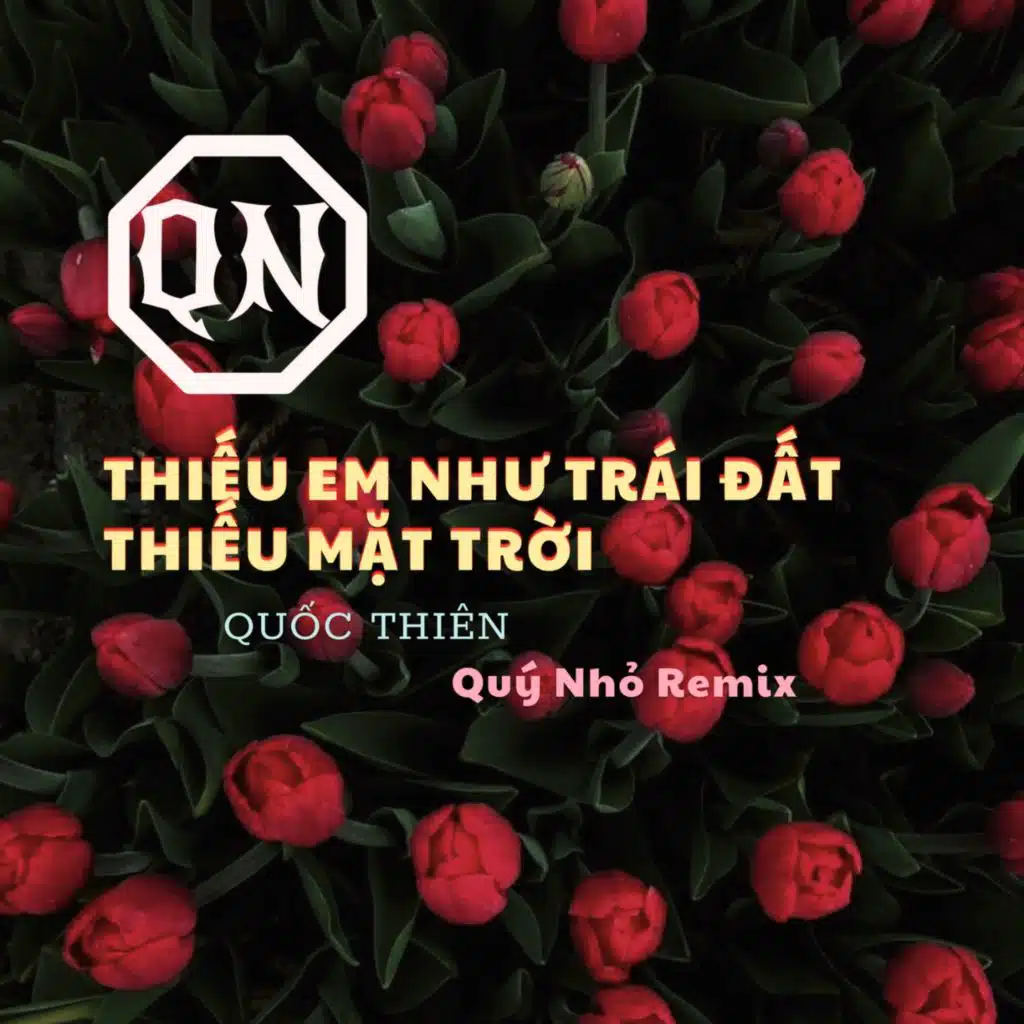 Thiếu Em Như Trái Đất Thiếu Mặt Trời (Remix) [feat. Quý Nhỏ]