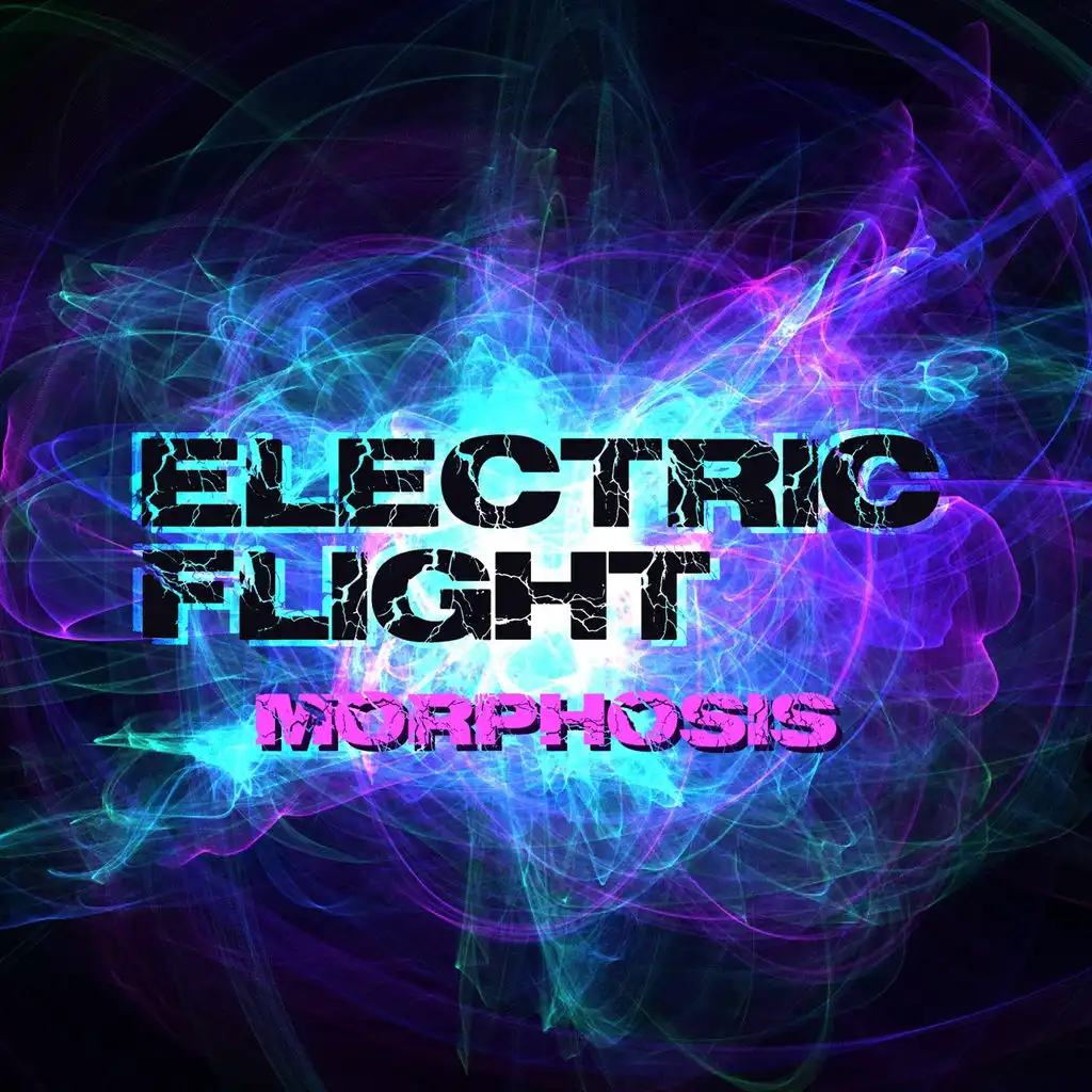 Electric Flight