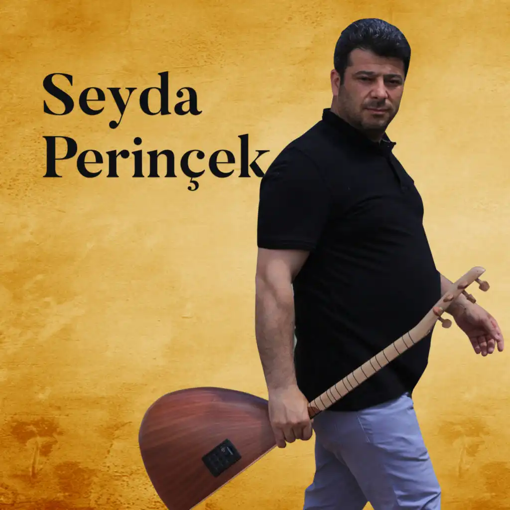 Seyda Perinçek