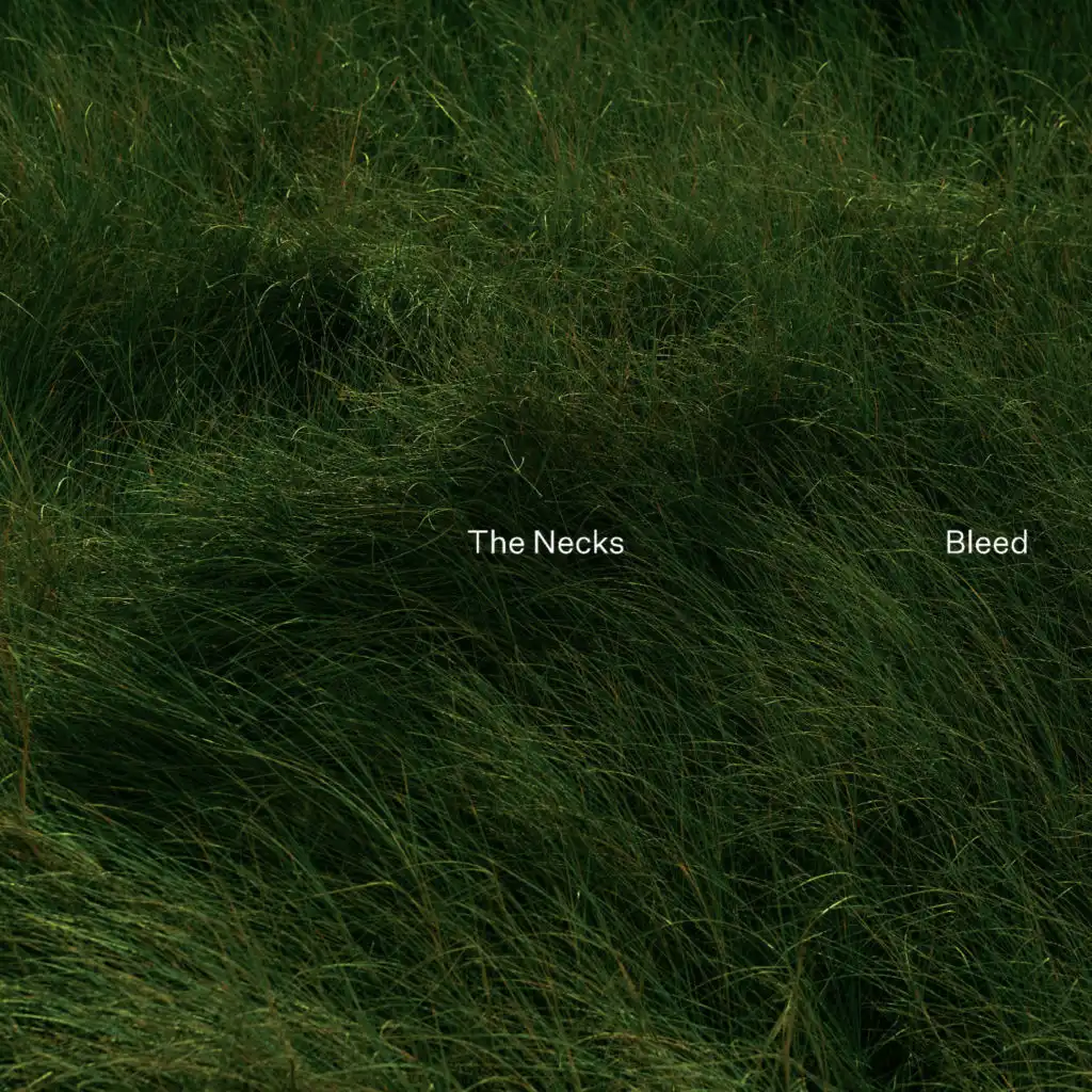 The Necks