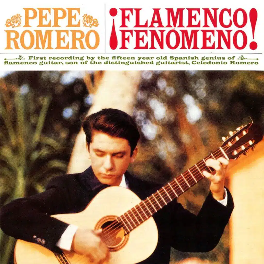 Flamenco Fenomeno!