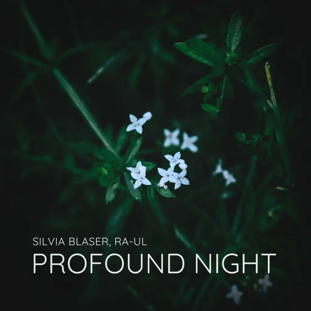 Profound Night
