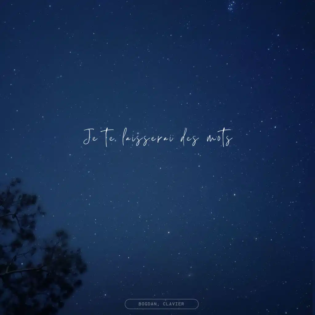 Je te laisserai des mots