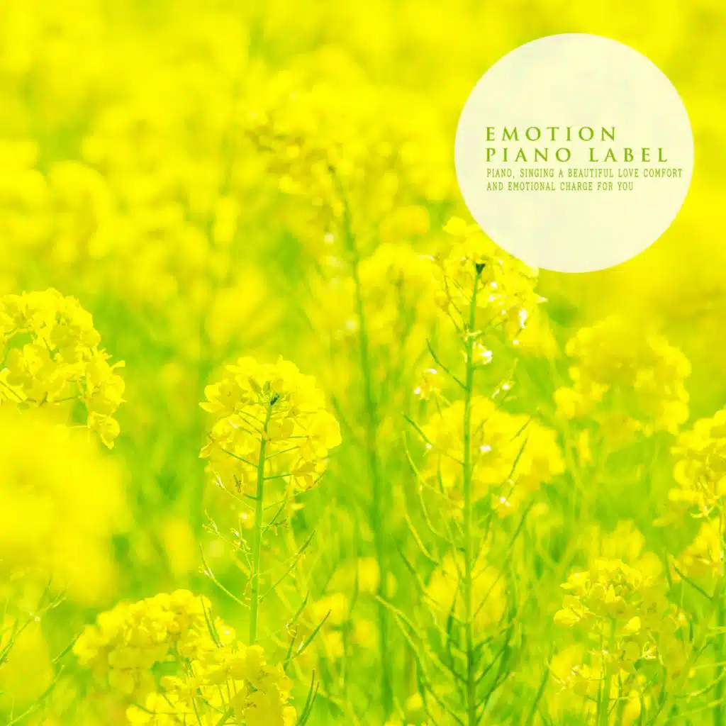 Piano Melody To Help Deep Sleep