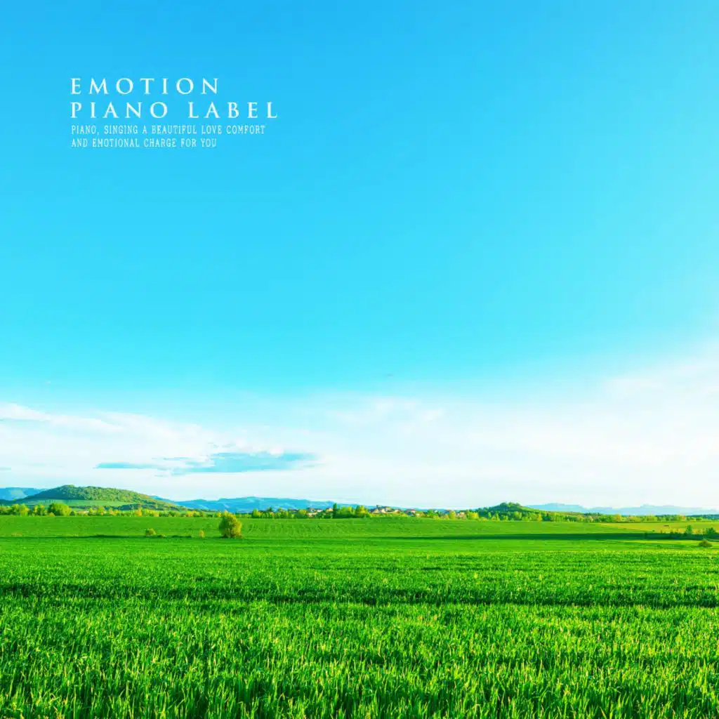 Piano Melody To Help Calm Study