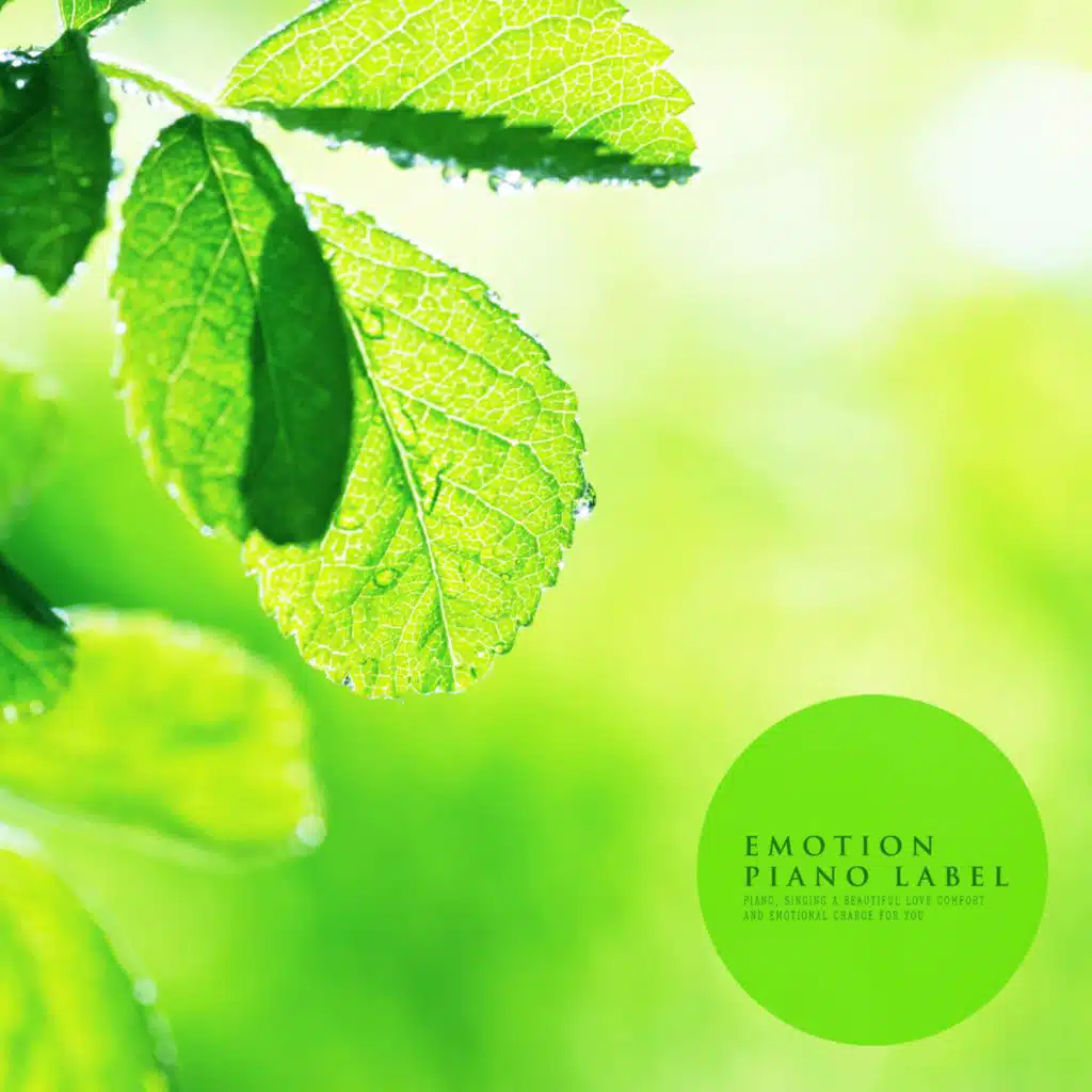 Healing Sensibility Piano Compilation (Nature Ver.)