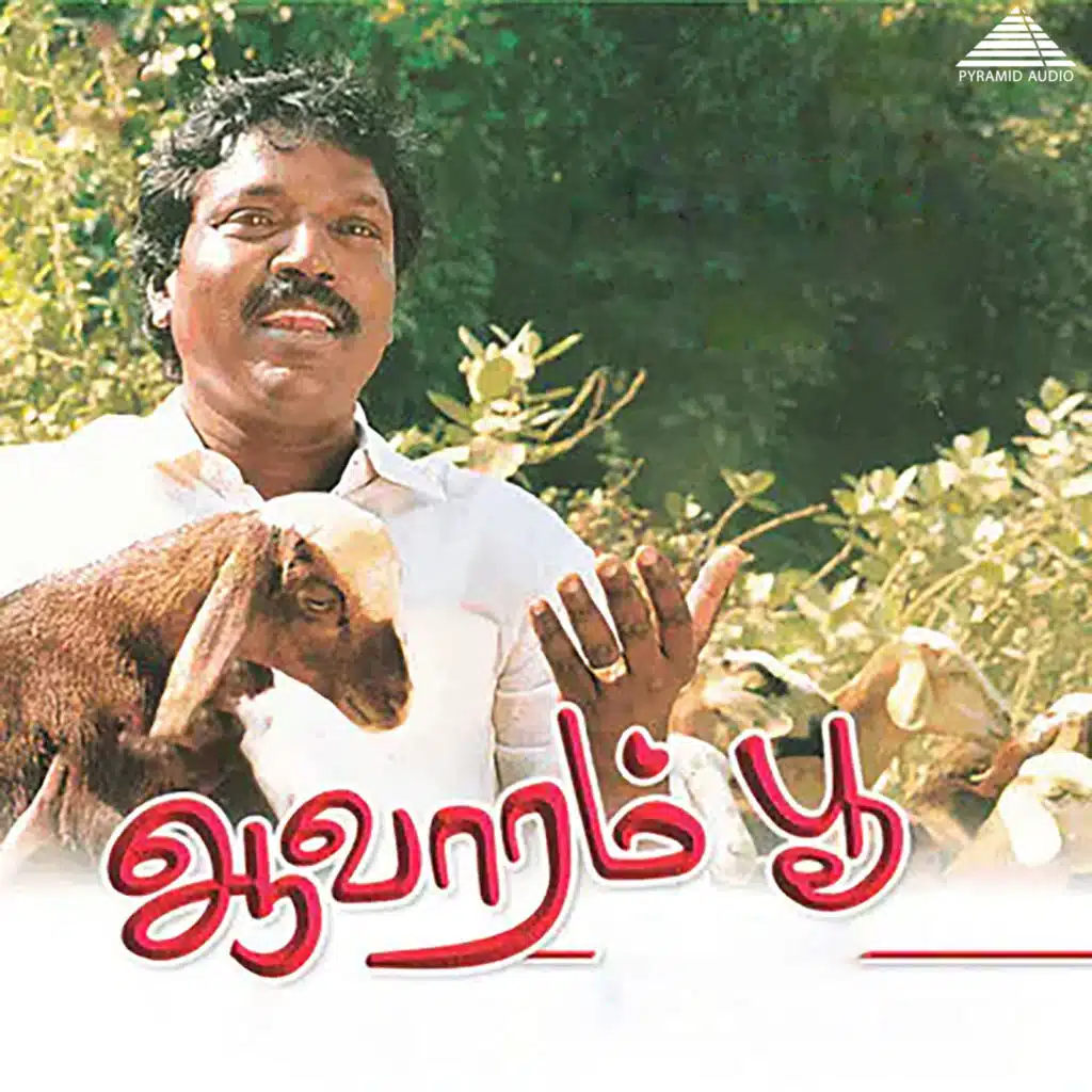 Aalolam Paadi