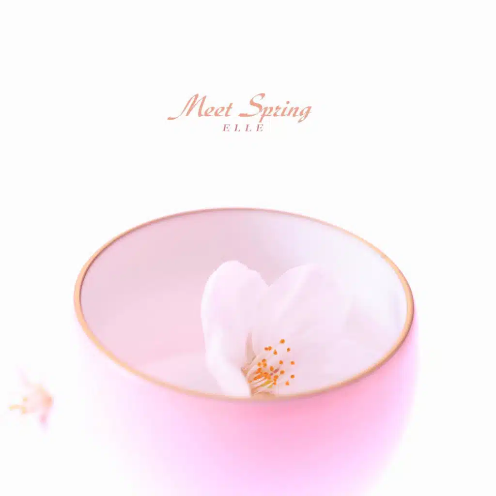 Meet Spring
