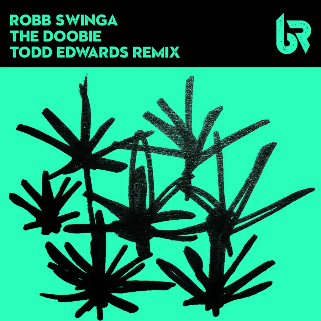 Robb Swinga