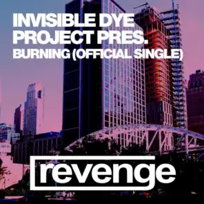 Invisible Dye project