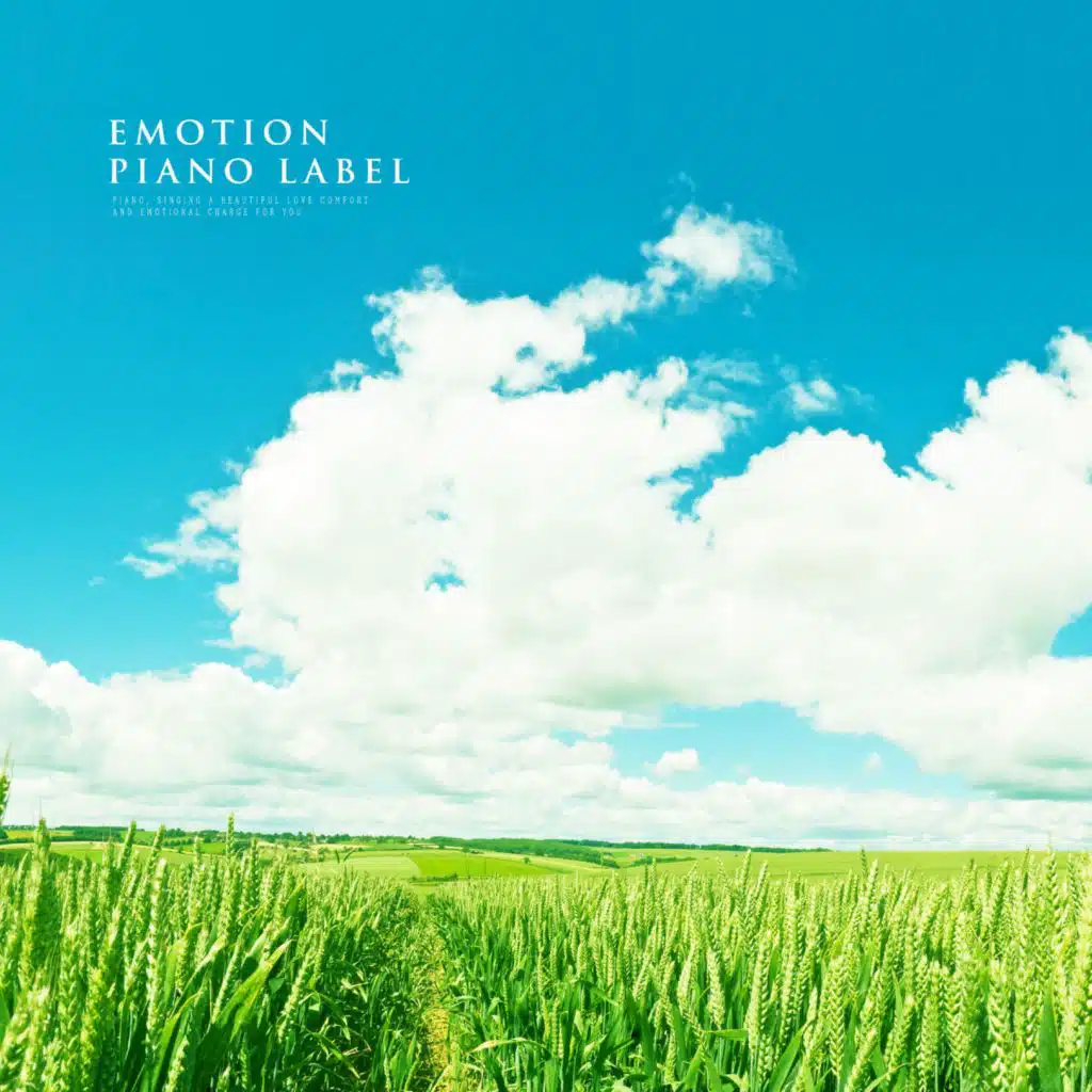 Delicate Sensibility Piano For Improving Concentration (Study Piano)