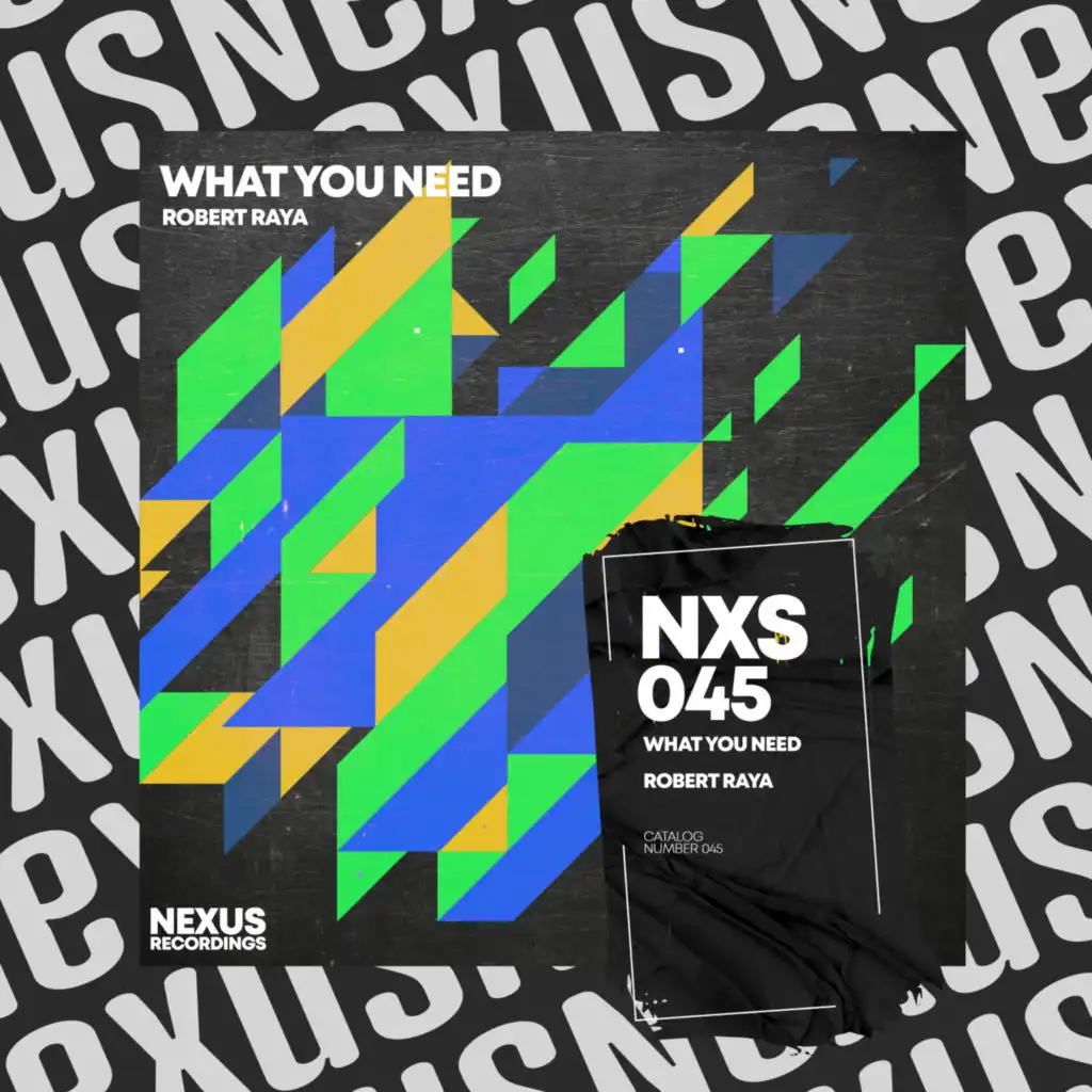 What You Need (Radio Edit)