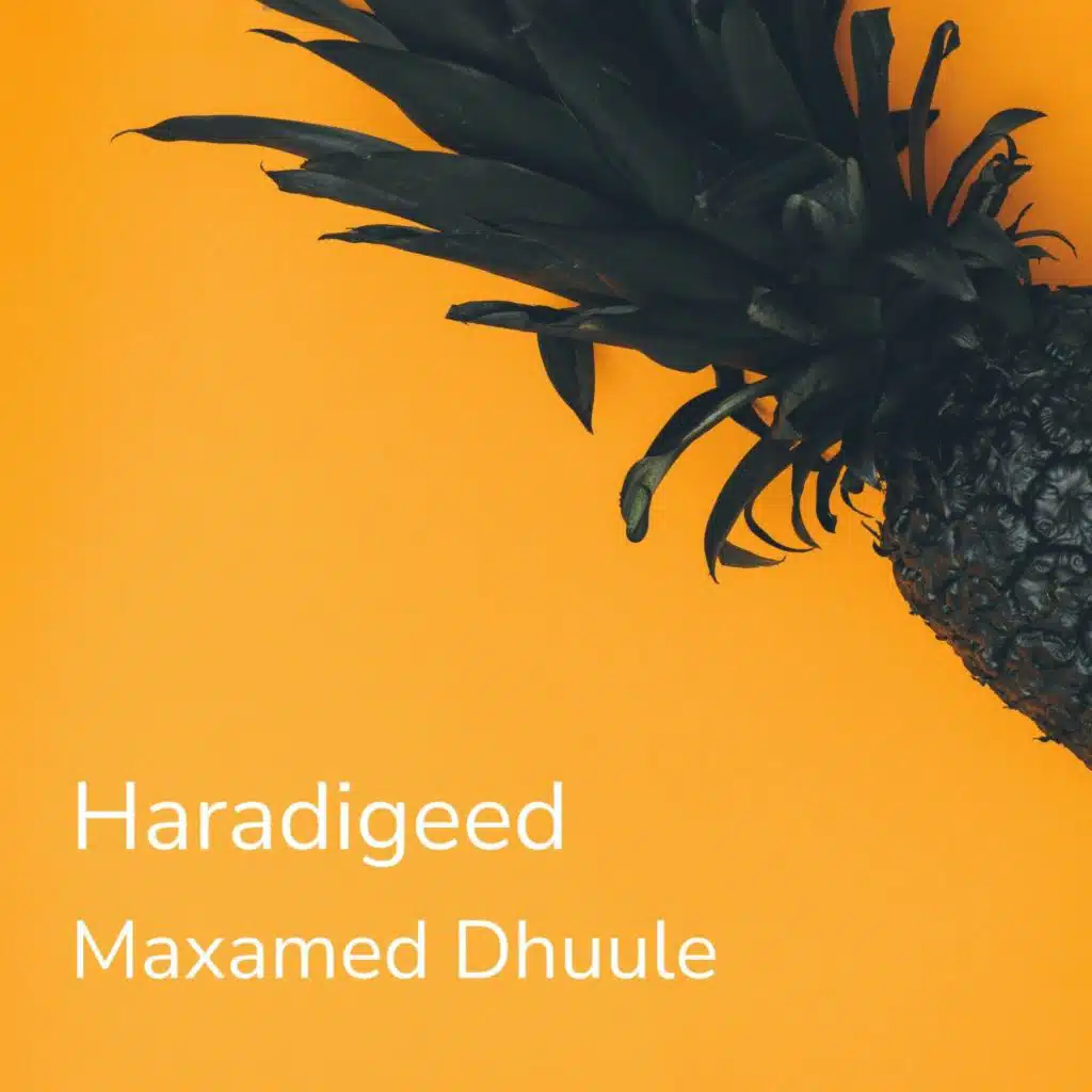 Haradigeed