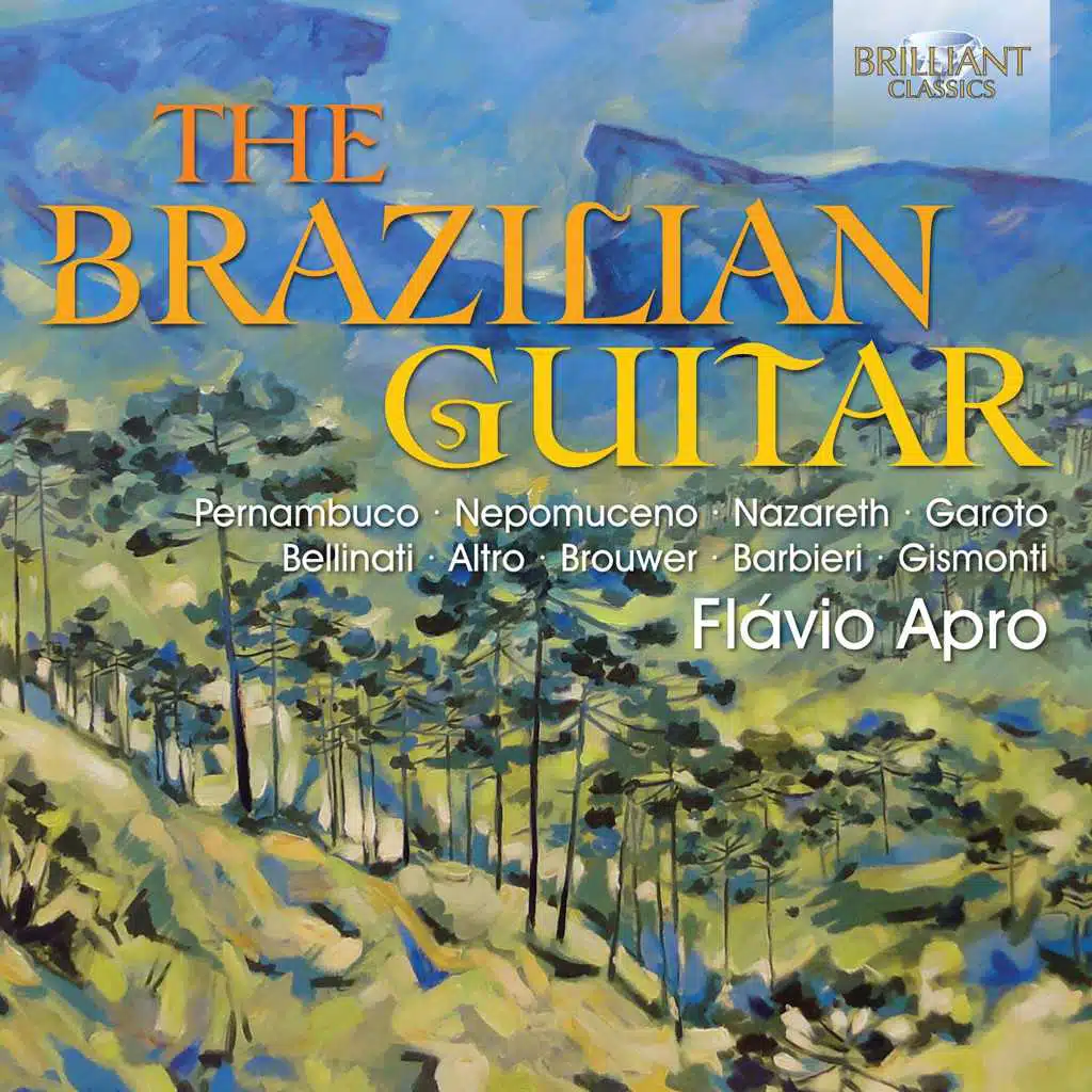 The Brazilian Guitar