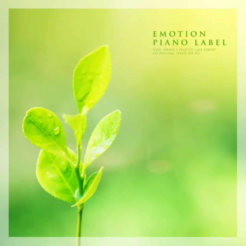 Piano Melody With The Beginning Of Spring