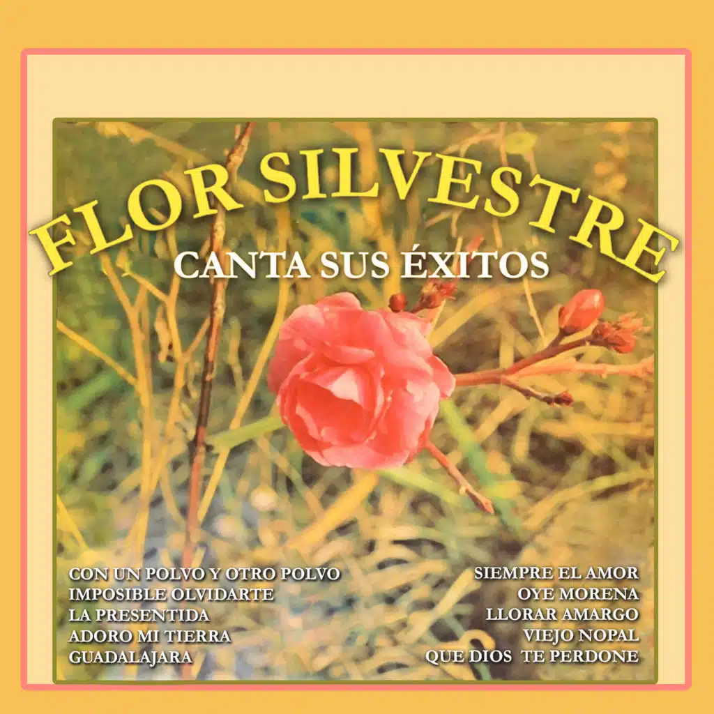 Viejo Nopal