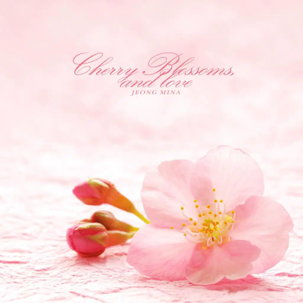 Cherry Blossoms, And Love