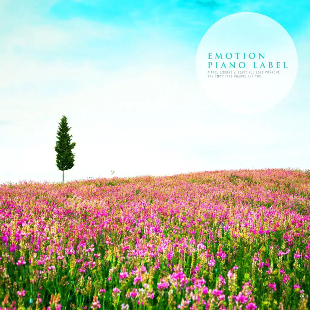 Letter Of Forget-Me-Not