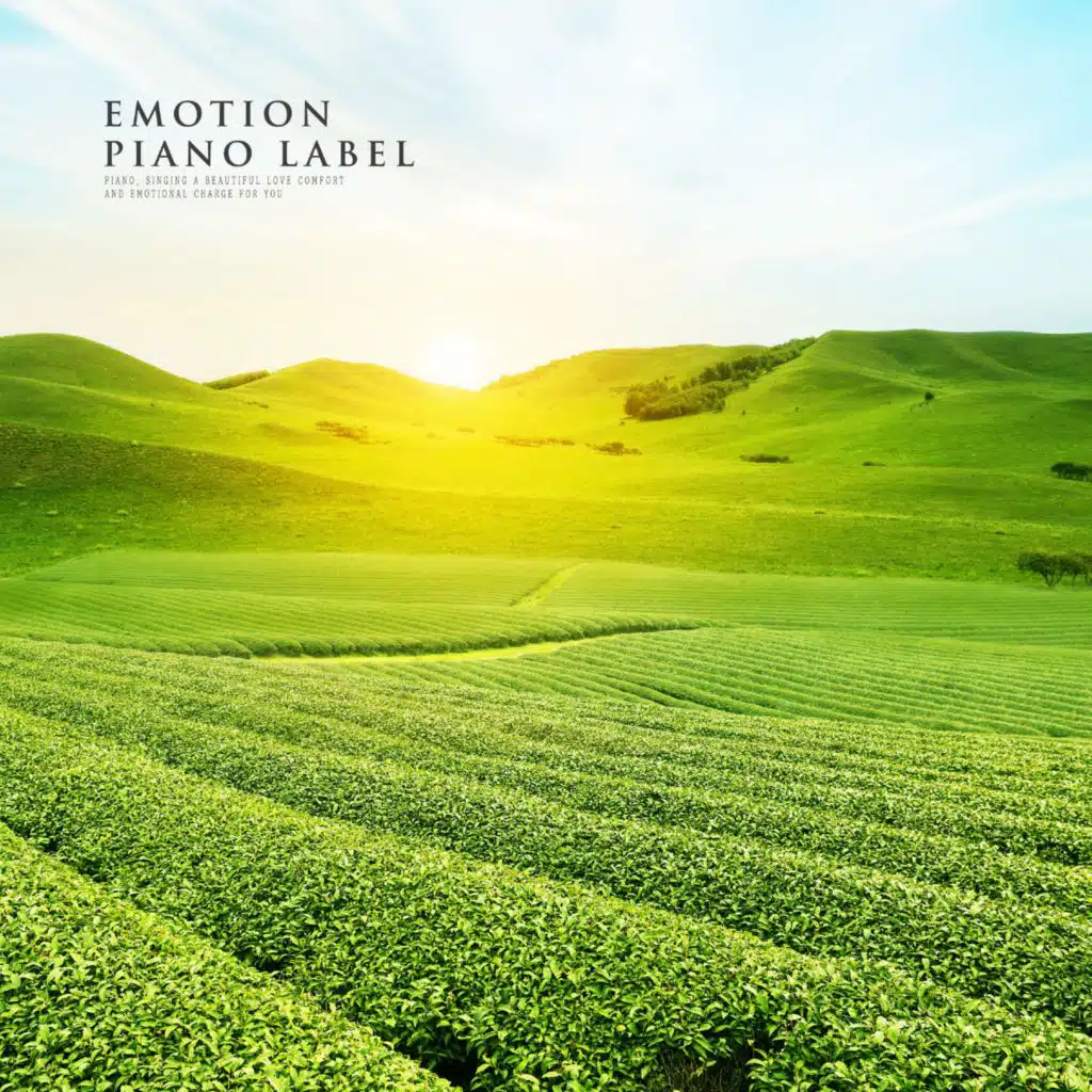 Meditation And Listening Emotional Stimulation Piano Melody