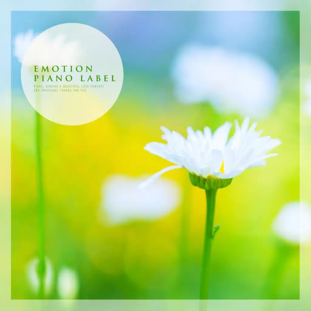 The Happy Emotional Piano Of And Listen To Meditation