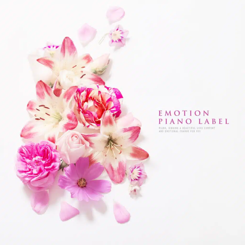 A Beautiful New Age Piano That Makes Your Heart Pure