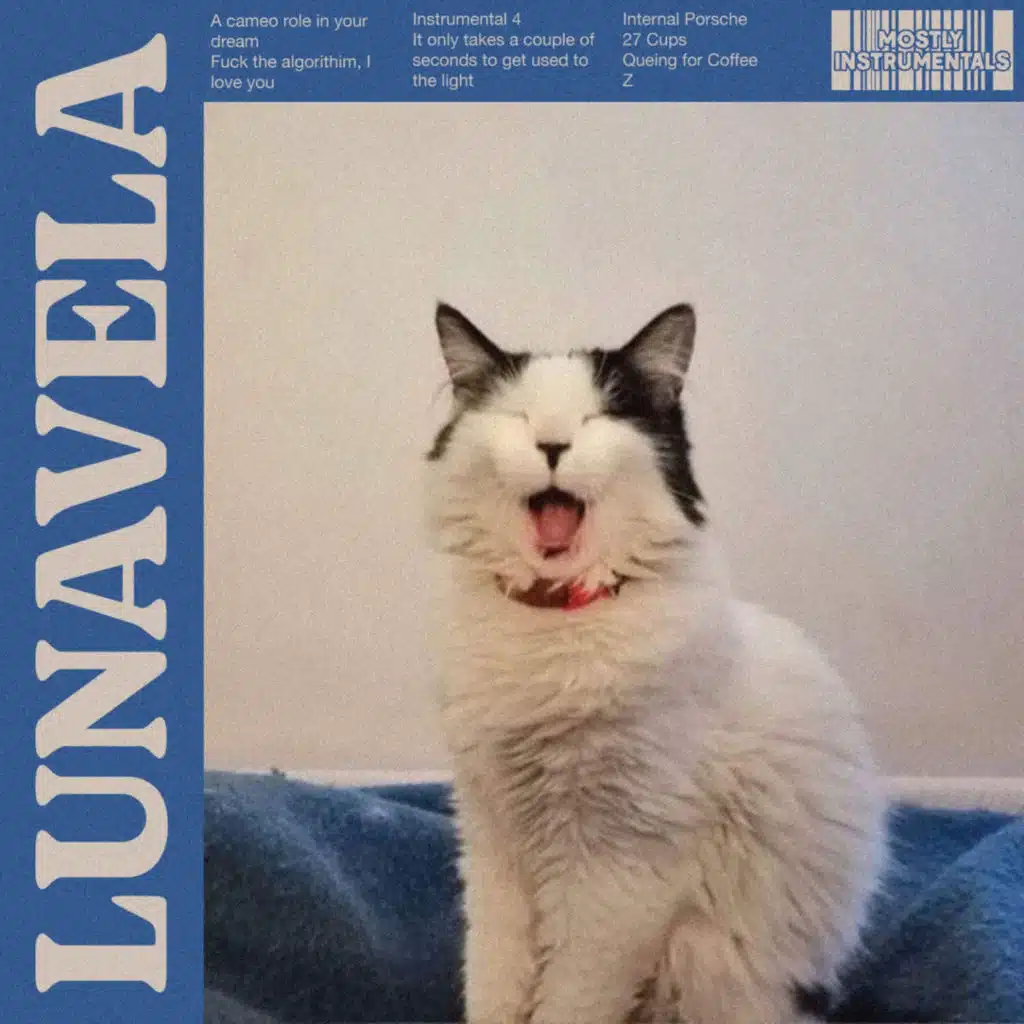 Mostly Instrumentals