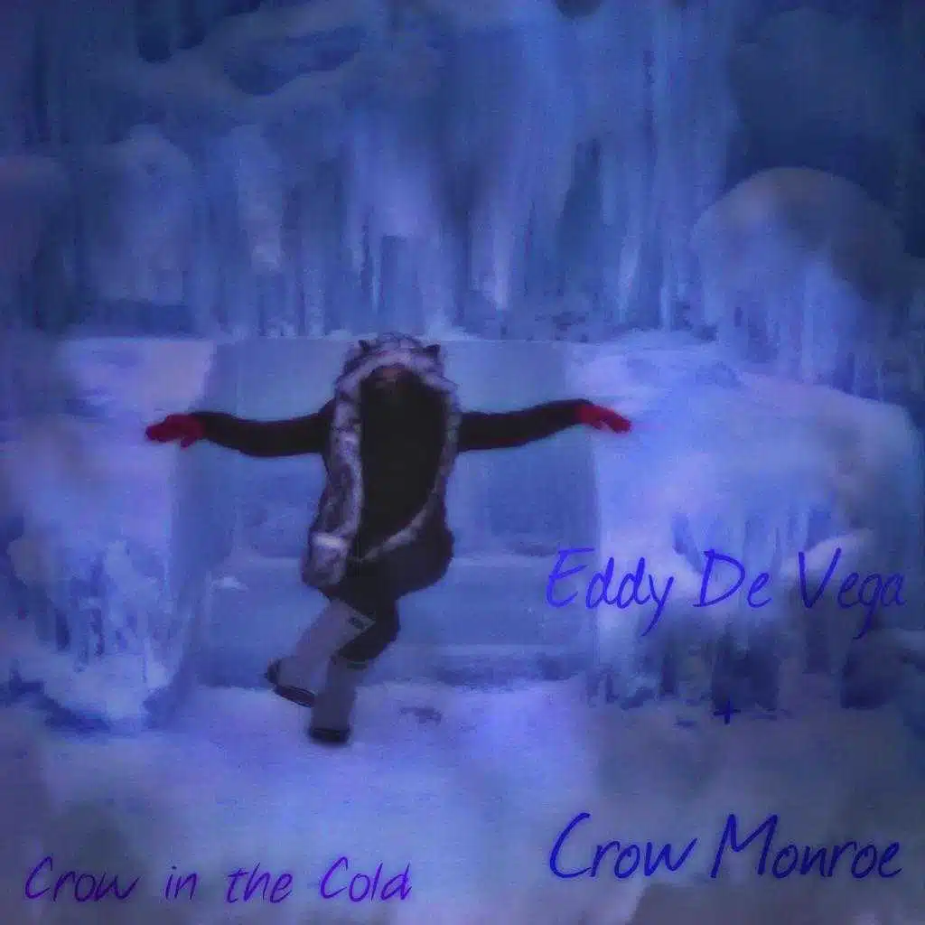 Crow In The Cold