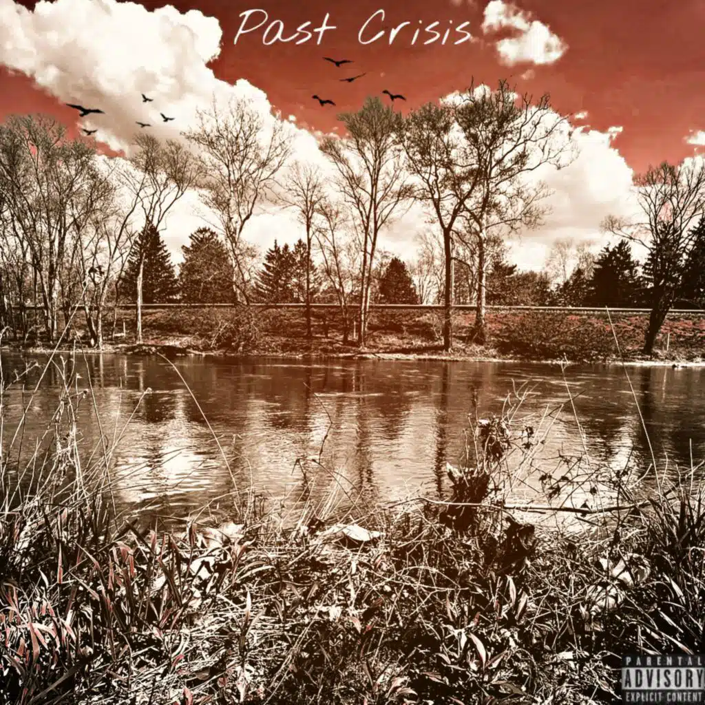 Past Crisis