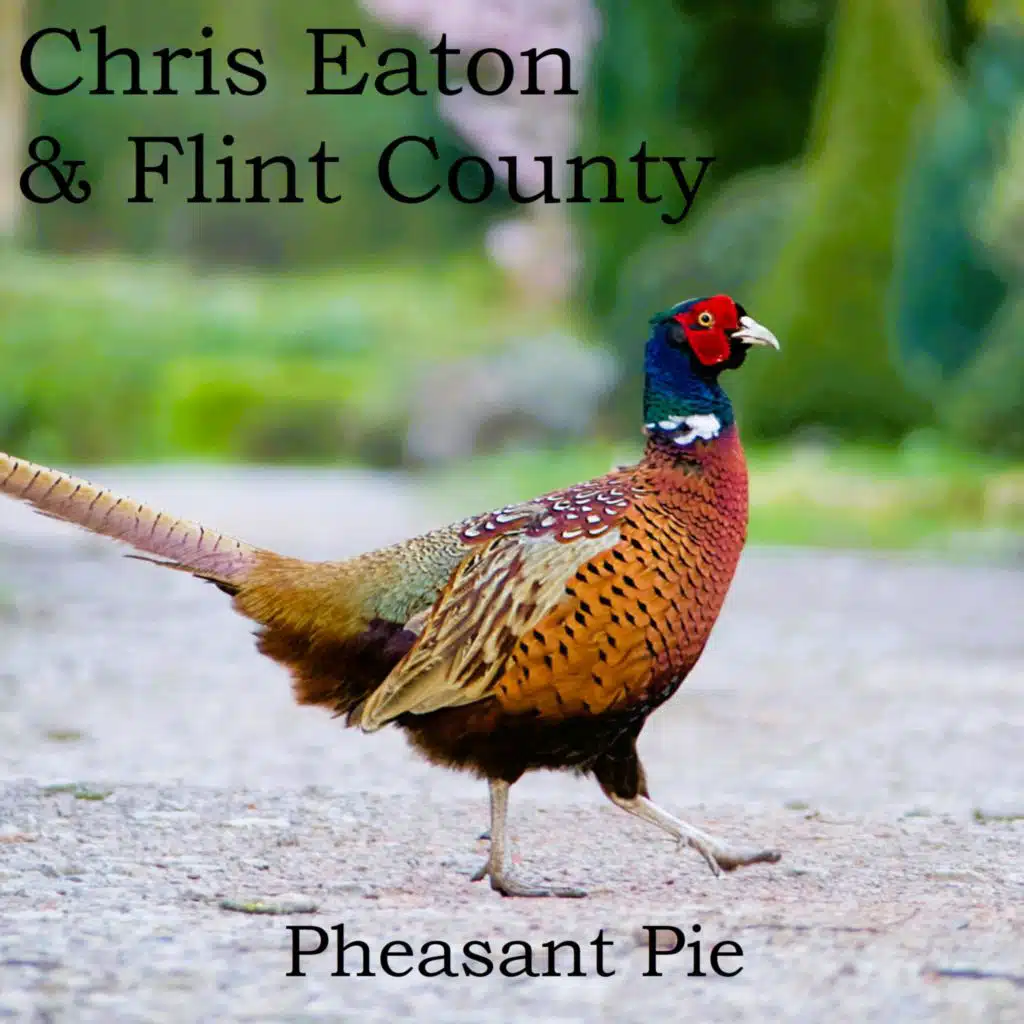 Pheasant Pie