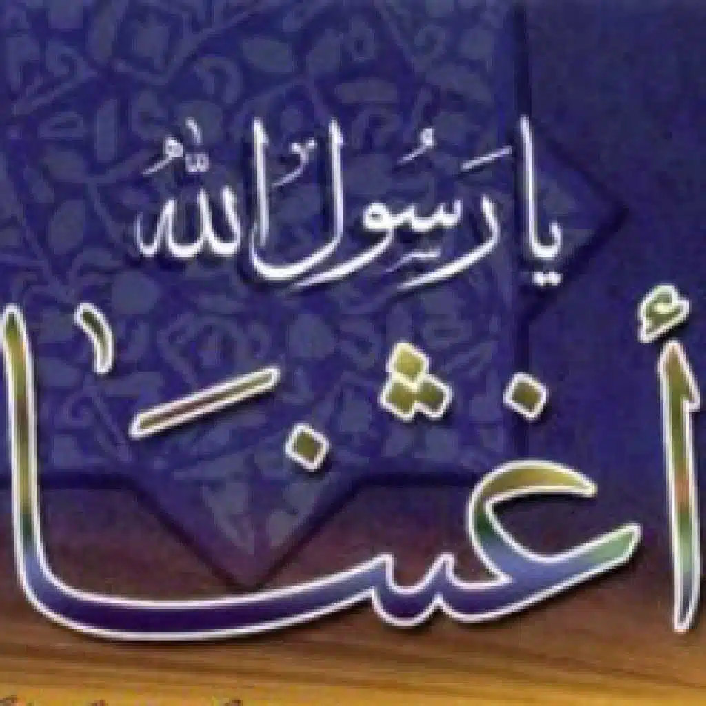 يا رسول الله أغثنا