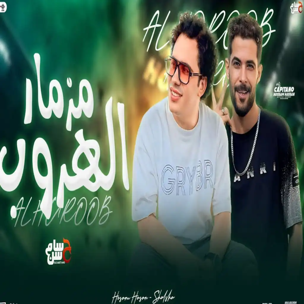 حسام حسن وطارق شئلشه